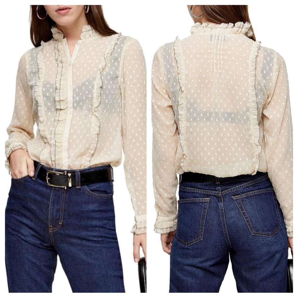 Top Shop Boho Ruffle Sheer Blouse Size 4